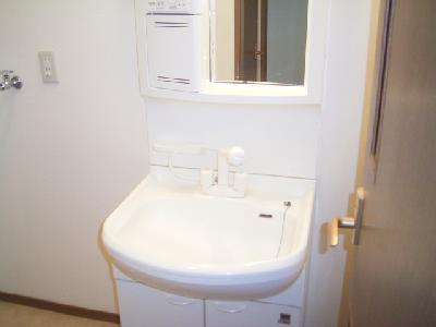 Other. It comes with a wash basin ☆