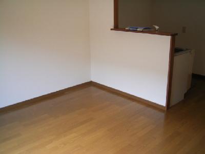 Living and room. Clean flooring