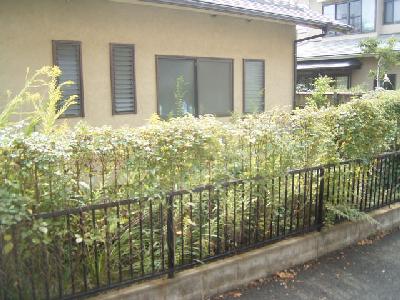 Balcony. Day'm good (^ o ^) /
