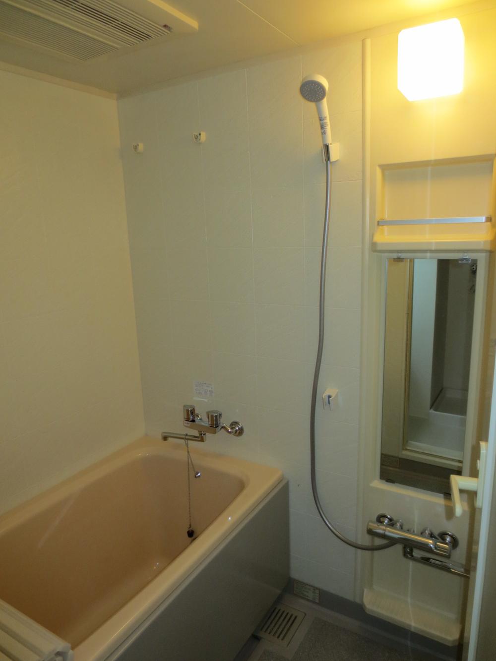 Bathroom. Indoor (12 May 2013) Shooting