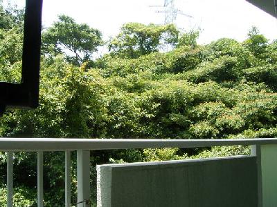 Balcony. Veranda