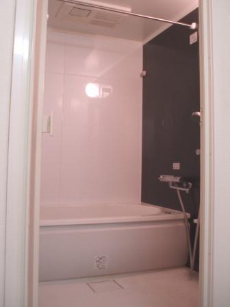 Bathroom. Indoor (11 May 2013) Shooting