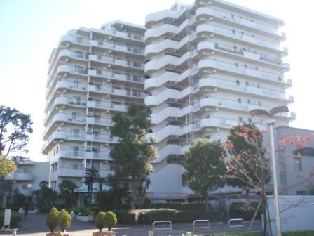 Local appearance photo. Local (11 May 2013) Shooting