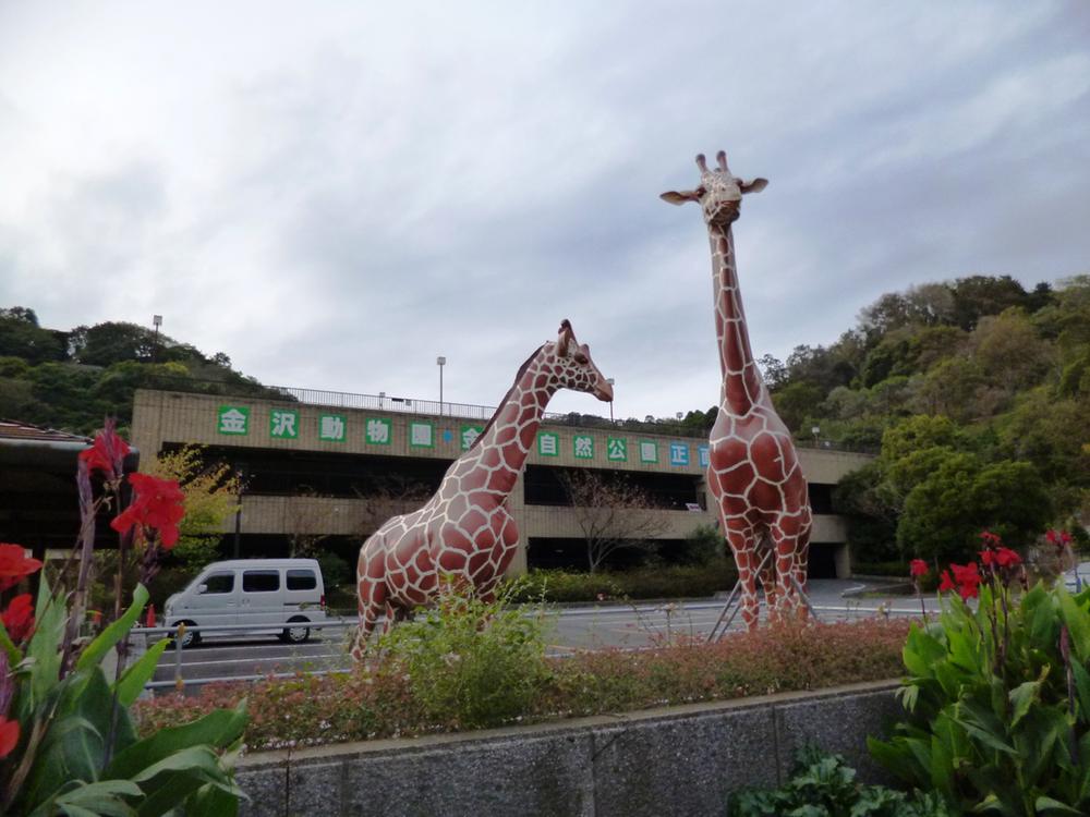 park. Kanazawa Zoo ・ 3700m to Kanazawa Nature Park