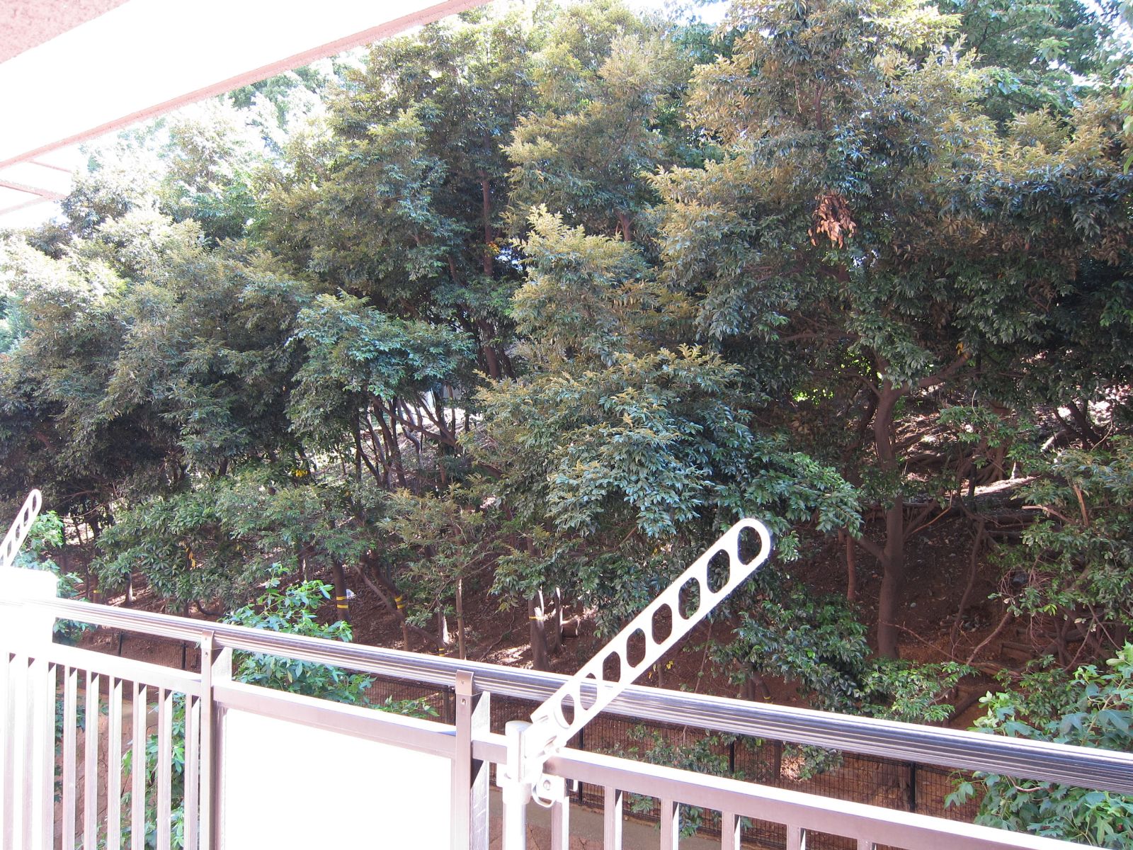 Balcony. balcony ~