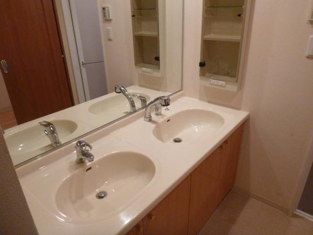 Wash basin, toilet. Twin bowl washbasin