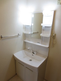 Washroom. Washbasin with shower
