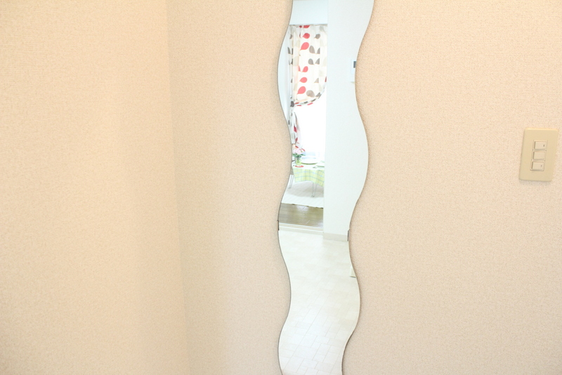 Other. We have established a useful full-length mirror mirror.