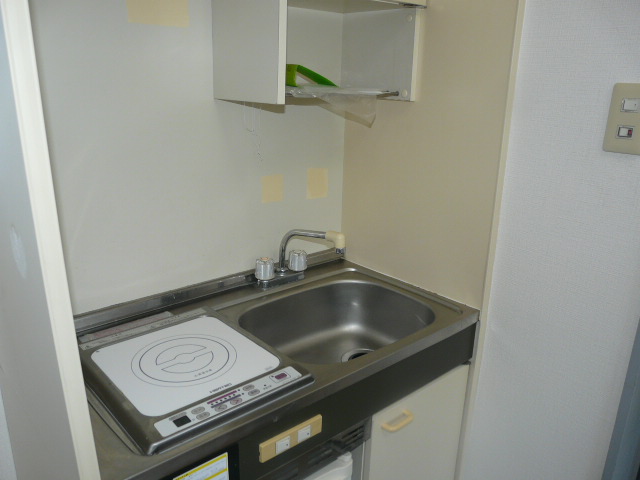 Kitchen. Popular IH stove