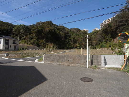 Local land photo