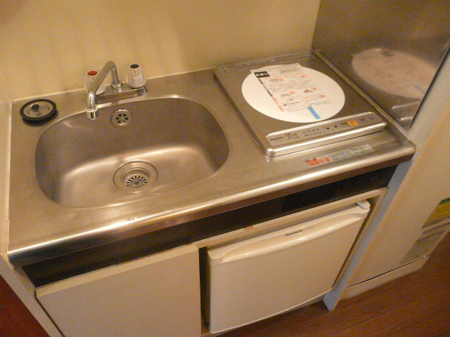 Kitchen. Easy to clean IH stove