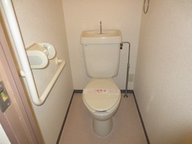 Toilet. Toilet