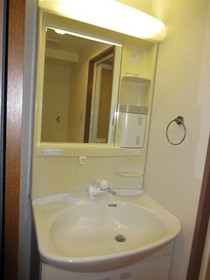 Washroom. Bathroom Vanity