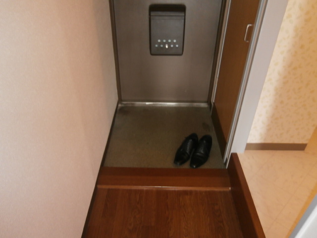 Entrance. There and convenient shoe box