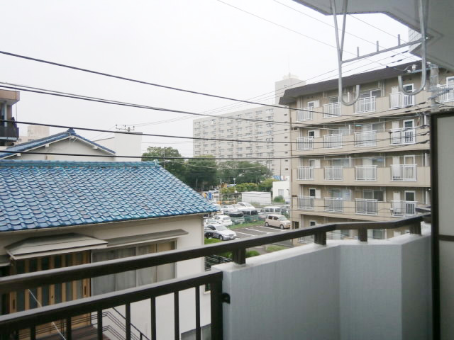 View. Before it has opened ☆