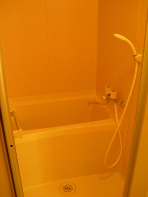 Bath. Bathroom with cleanliness