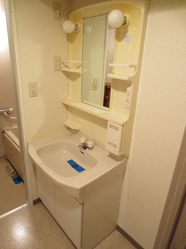 Washroom. Bathroom vanity