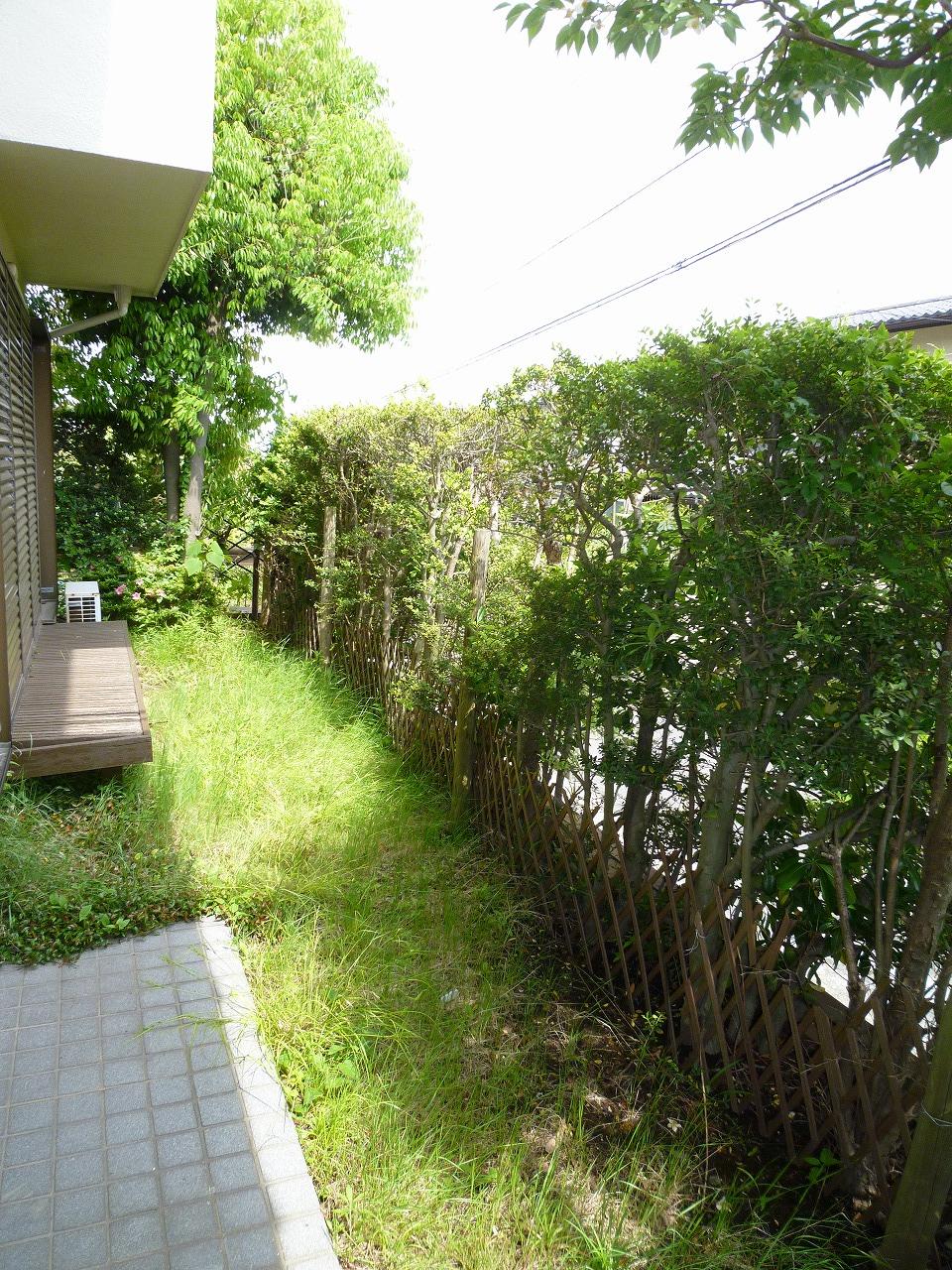 Garden. Garden part