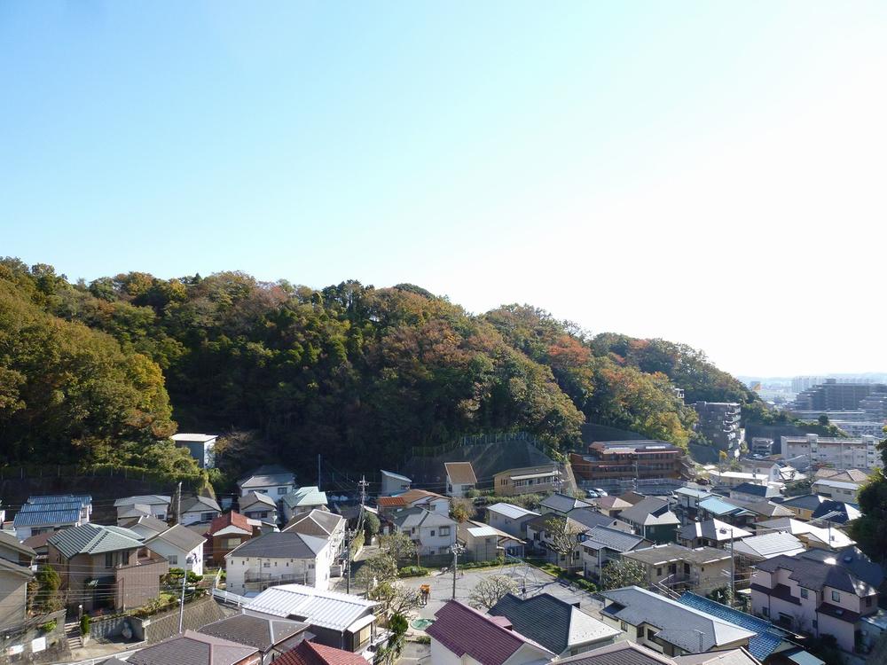 View photos from the dwelling unit. View from the roof balcony