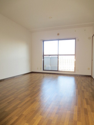 Living and room. Room 2