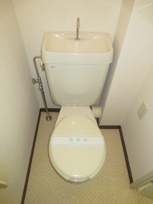 Toilet. Toilet
