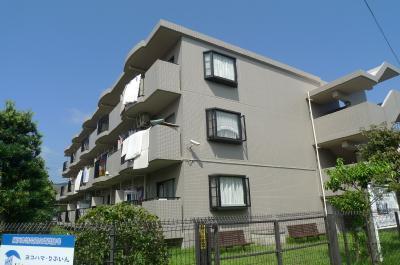 Building appearance