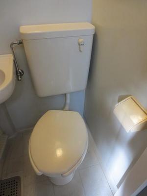Toilet. Toilet