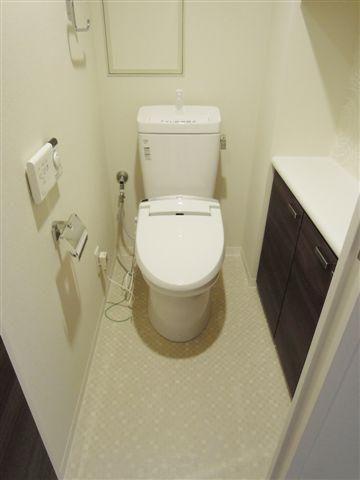 Toilet. Indoor (10 May 2013) Shooting