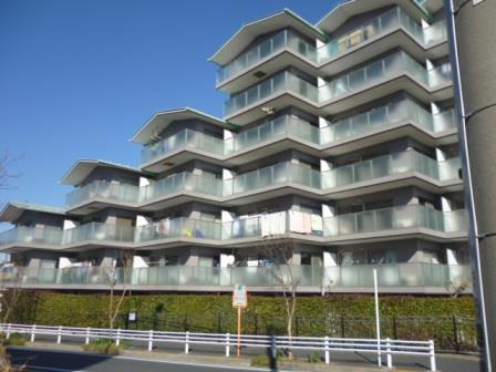 Local appearance photo. Local (10 May 2013) Shooting