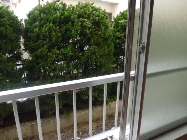 Balcony. Veranda
