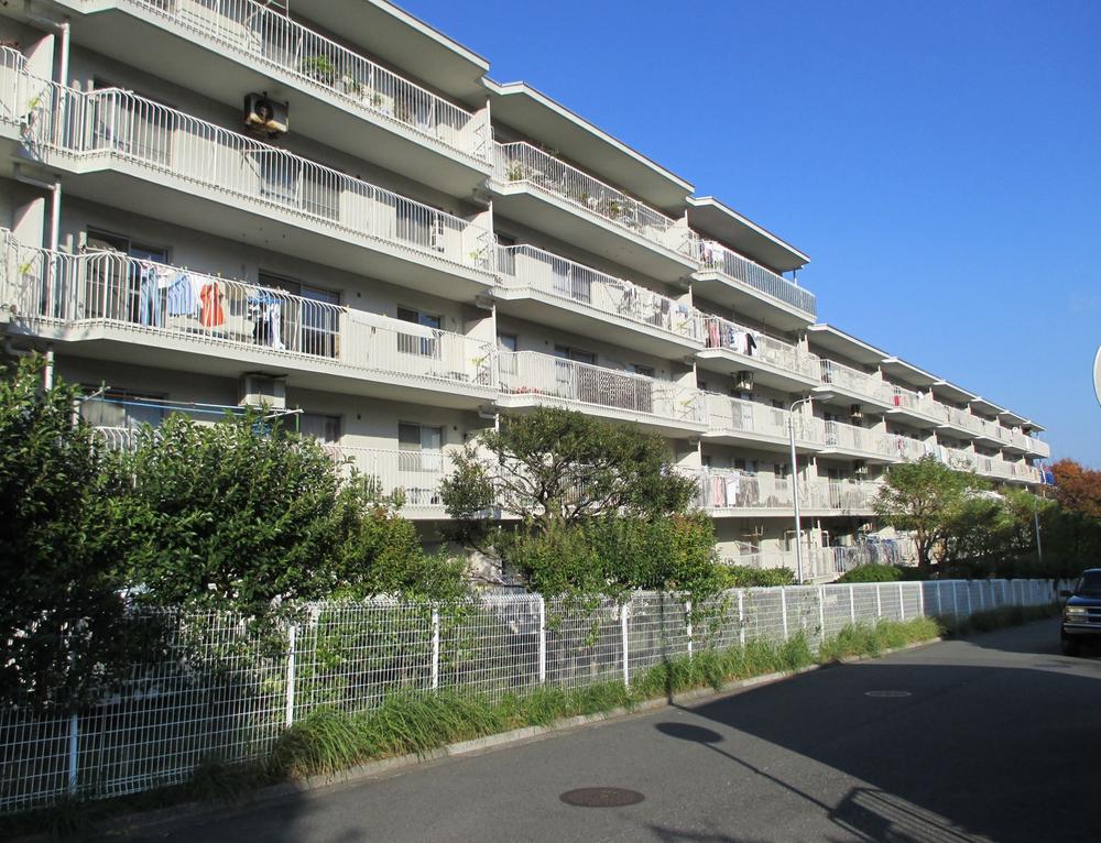 Local appearance photo. Local (11 May 2013) Shooting