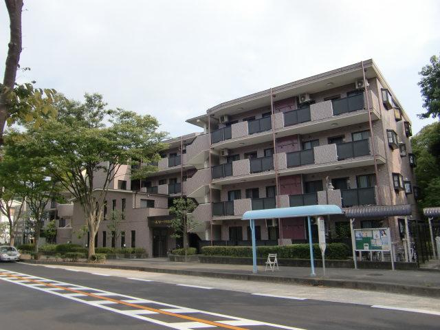 Local appearance photo. Local (August 2013) Shooting