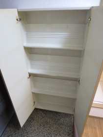 Entrance. Footwear input