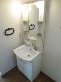 Washroom. Bathroom Vanity