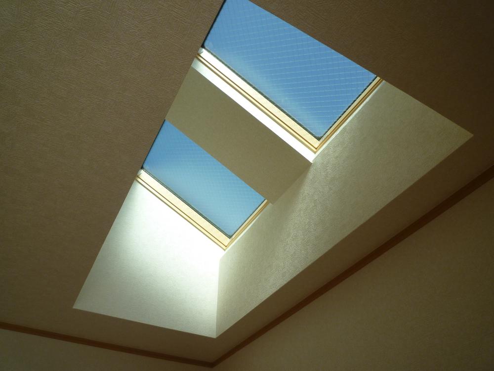 Other introspection. With top light.