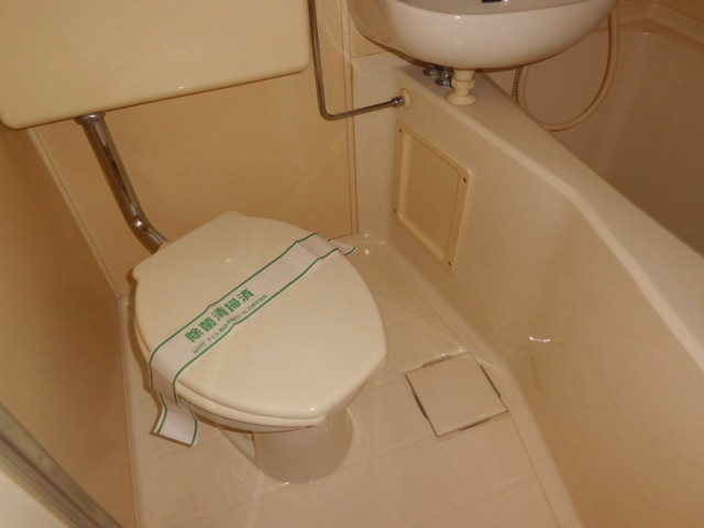 Toilet