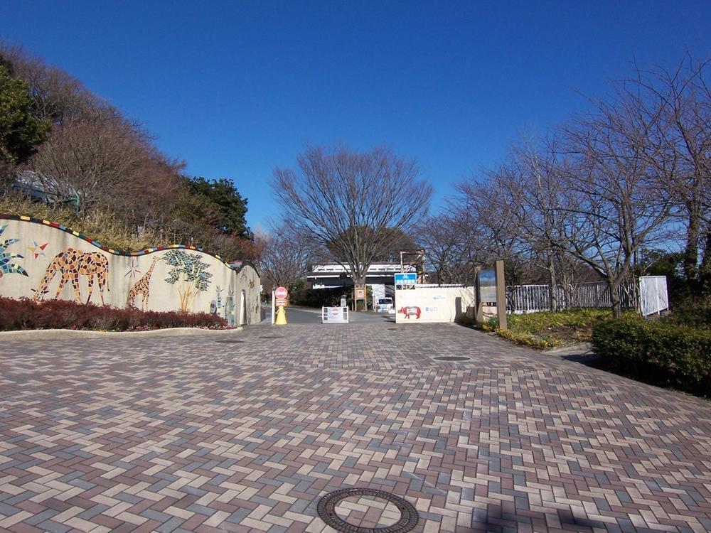 park. Speaking of Kanazawa-ku,, Coco "Yokohama Municipal Kanazawa animal park" is recommended. Although you can interact with koalas and a variety of animals, Last long ~ Slider bed stomach, Children will delight in soooo. It is ideal for a walk!