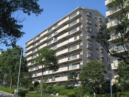 Local appearance photo. Local (11 May 2013) Shooting