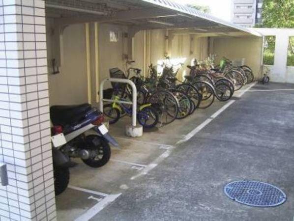Parking lot. Bicycle-parking space