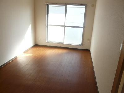Living and room. Clean flooring