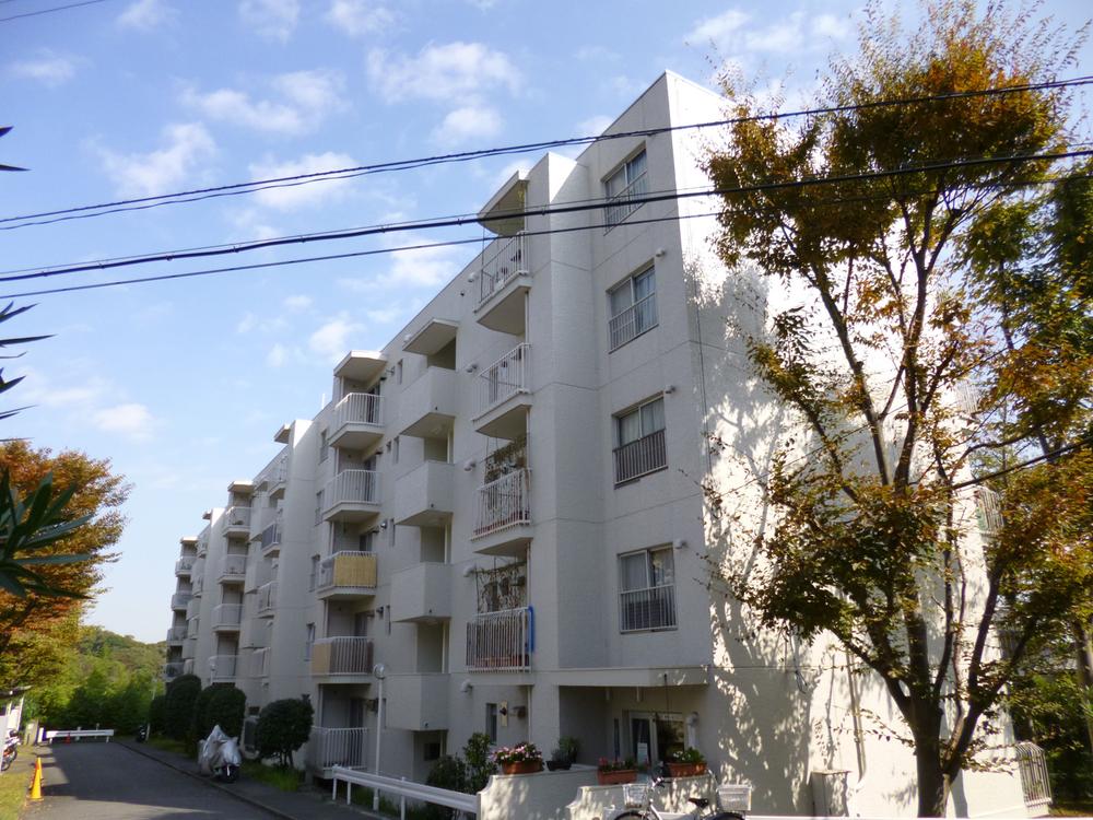 Local appearance photo. No building in front, Bright is local