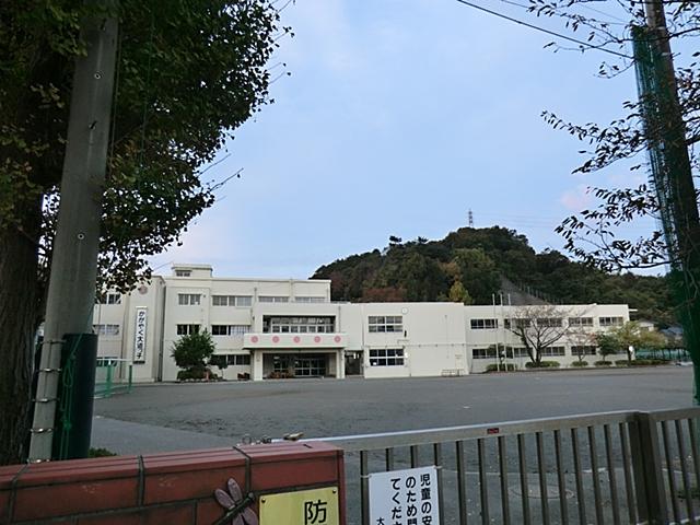 Primary school. School relieved to near 430m elementary school to Yokohamashiritsudai Road Elementary School
