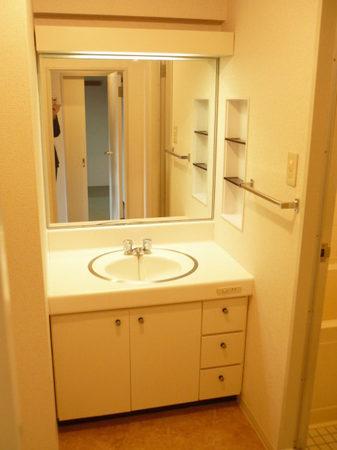 Washroom. Bathroom vanity