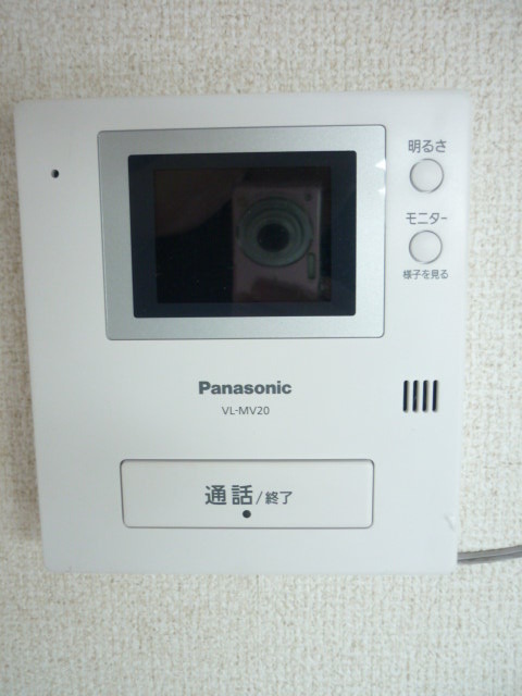 Security. Monitor with intercom