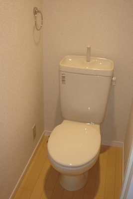 Toilet. Bus toilet by