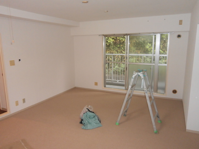 Living and room. Living