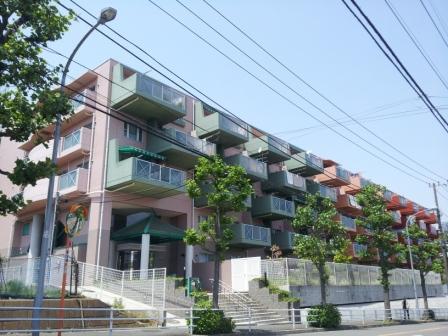 Local appearance photo. Local (May 2013) Shooting