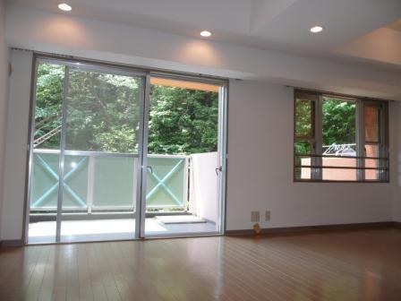 Living. Room (May 2013) Shooting