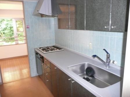 Kitchen. Room (May 2013) Shooting