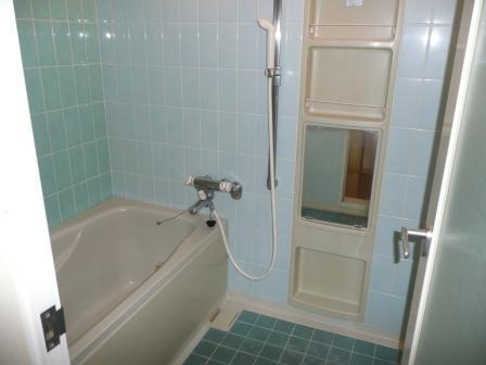 Bathroom. Room (May 2013) Shooting